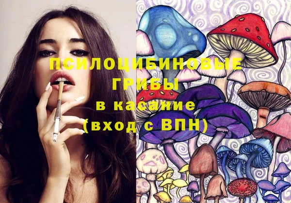 spice Арсеньев