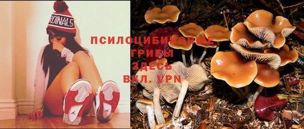 spice Арсеньев