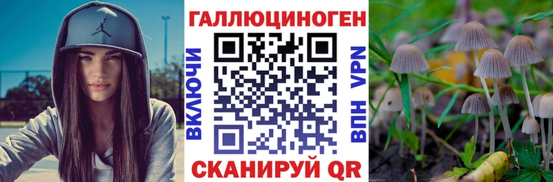 как найти   МЕГА как зайти  Галлюциногенные грибы Cubensis  Зуевка 